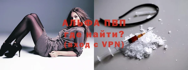 мет Алексин