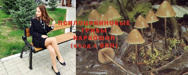 мет Алексин