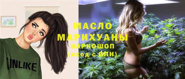 мет Алексин