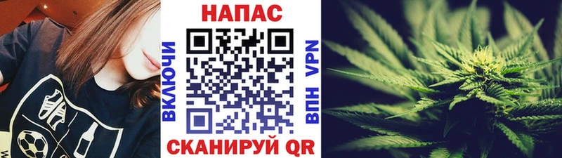 Бошки Шишки конопля  купить наркотики цена  KRAKEN как зайти  Нелидово 